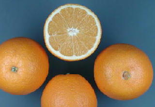 ネーブル・オレンジ、ネーブルとはへその意味である。
