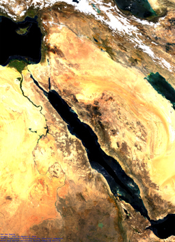 左下の大地がアフリカ大陸、右上がアラビア半島。中央のなめくじ形の海が紅海。アフリカ大陸に蛇行しているのがナイル川。Photo Credit: NASA.